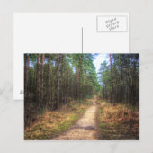 Forest Path HDR. Art Postcard Postkarte (Vorne/Hinten)