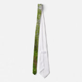 FOREST PATH NeckTie Krawatte (Rückseite)