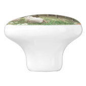 Forest Piano Keramikknauf (Seitenansicht)