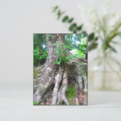 Forest Postcard Postkarte (Stehend Vorderseite)