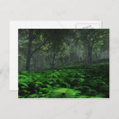 Forest Postcard Postkarte (Vorne/Hinten)