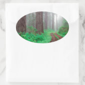 Forest Redwood Ovaler Aufkleber (Tasche)