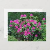 Forest Rhododendron Postkarte (Vorne/Hinten)