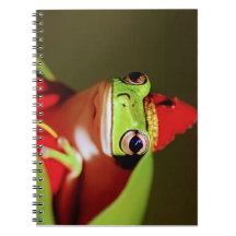 Forest Royalty - Spiral Foto Notebook