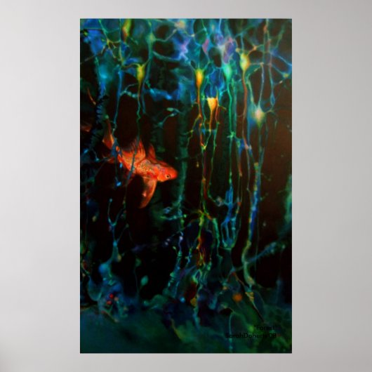 "Forest" Sarah Doherty 2008 Poster (Vorne)