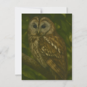 Forest Sentinel - Tawny Owl - Paradies für Naturfr Postkarte