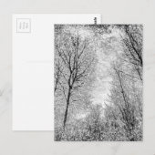 Forest Snow Art Postkarte (Vorne/Hinten)