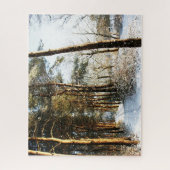 Forest Snow Scene 16x20 520pc jpcna Puzzle (Vertikal)