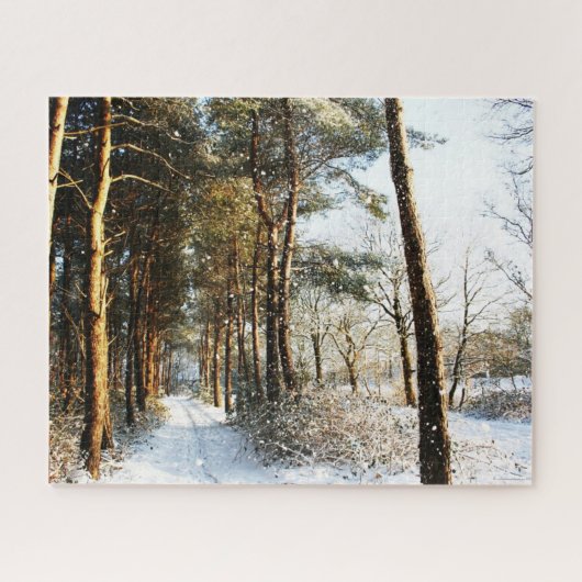 Forest Snow Scene 16x20 520pc jpcna Puzzle (Horizontal)
