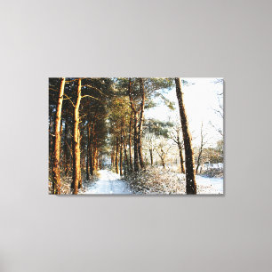 Forest Snow Scene 36x24 (90x60cm) Waccn Leinwanddruck