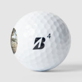 Forest Snow Scene be6 gbcna Golfball (Logo)