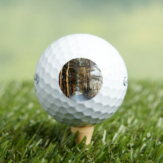 Forest Snow Scene css gba Golfball (Insitu T-Shirt)