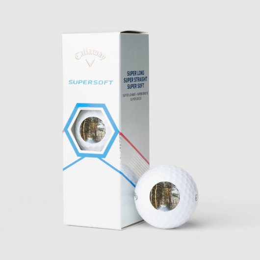 Forest Snow Scene css gba Golfball (Verpackung)