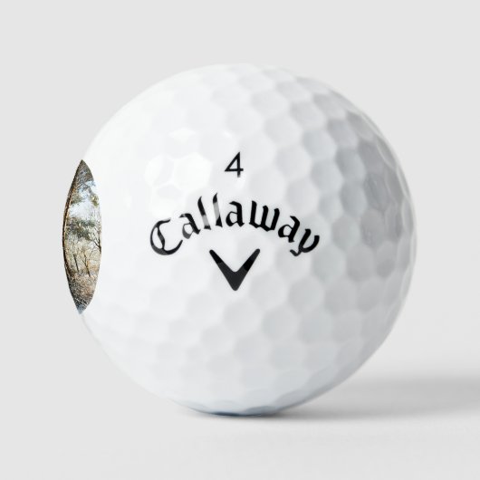 Forest Snow Scene css gba Golfball (Logo)