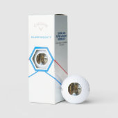 Forest Snow Scene css gbcnm Golfball (Verpackung)