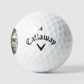 Forest Snow Scene css gbcnm Golfball (Logo)