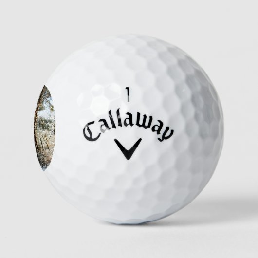 Forest Snow Scene cwb gbcna Golfball (Logo)