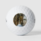Forest Snow Scene cwb gbcna Golfball (Vorderseite)