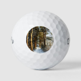Forest Snow Scene cwb gbcna Golfball
