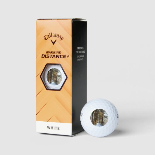 Forest Snow Scene cwb gbcna Golfball (Verpackungen)