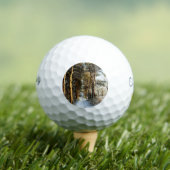 Forest Snow Scene cwb gbcna Golfball (Insitu T-Shirt)