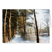 Forest Snow Scene gccna (Vorderseite (Horizontal))
