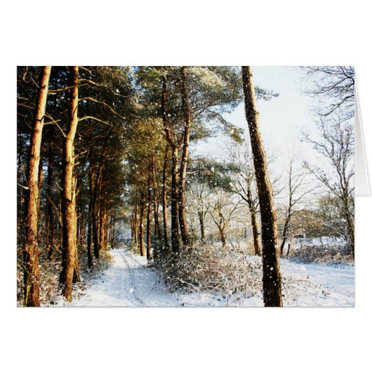 Forest Snow Scene gccna (Vorderseite (Horizontal))