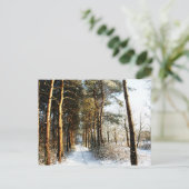Forest Snow Scene pccnm Postkarte (Stehend Vorderseite)