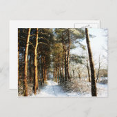 Forest Snow Scene pccnm Postkarte (Vorne/Hinten)