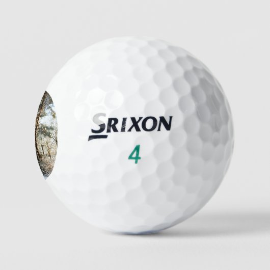 Forest Snow Scene ssf gbcna Golfball (Logo)