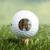 Forest Snow Scene ssf gbcnm Golfball (Insitu T-Shirt)