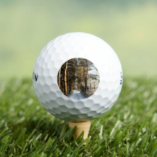 Forest Snow Scene ssf gbcnm Golfball (Insitu T-Shirt)