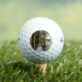 Forest Snow Scene tmtp5 gbcna Golfball (Insitu T-Shirt)