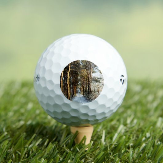 Forest Snow Scene tmtp5 gbcna Golfball (Insitu T-Shirt)