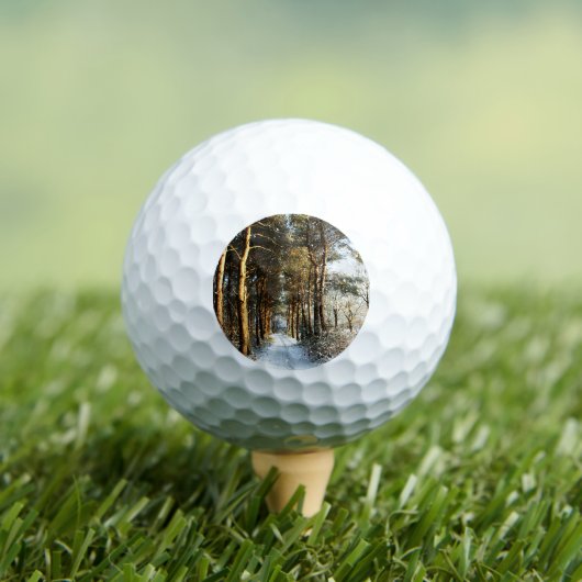 Forest Snow Scene va gbcnm Golfball (Insitu T-Shirt)