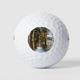 Forest Snow Scene wu gbcna Golfball