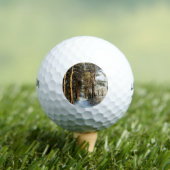 Forest Snow Scene wu gbcna Golfball (Insitu T-Shirt)