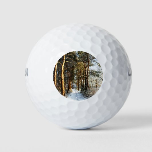 Forest Snow Scene wu gbcnm Golfball (Vorderseite)