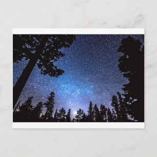 Forest Star Gazing eine Astronomie-Freude Postkarte