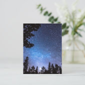 Forest Star Gazing eine Astronomie-Freude Postkarte (Stehend Vorderseite)