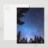 Forest Star Gazing eine Astronomie-Freude Postkarte (Vorne/Hinten)