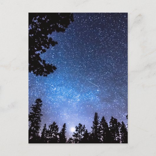 Forest Star Gazing eine Astronomie-Freude Postkarte (Vorderseite)