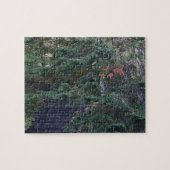 Forest Steps in Early Autumn Puzzle (Horizontal)