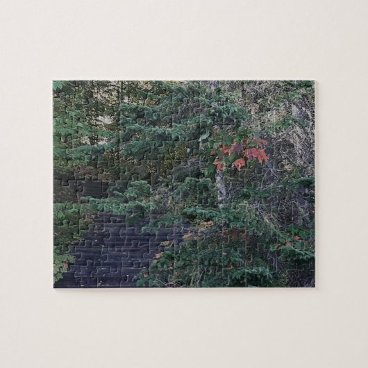 Forest Steps in Early Autumn Puzzle (Horizontal)