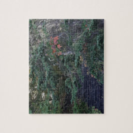 Forest Steps in Early Autumn Puzzle