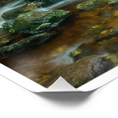 Forest Stream in Lush Woodland (Dargle River) Poster (Ecke)