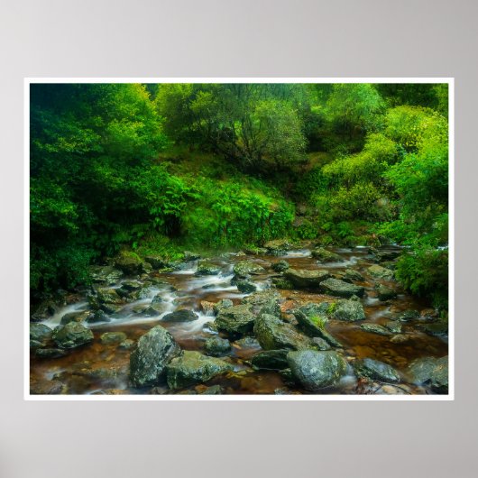 Forest Stream in Lush Woodland (Dargle River) Poster (Vorne)