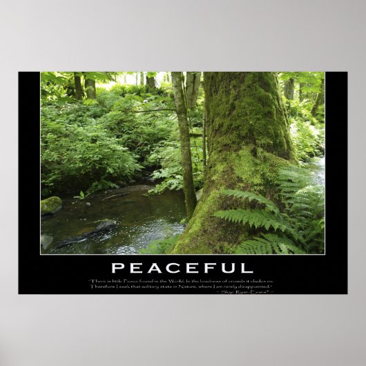 FOREST STREAM Nature Foto Plakat drucken (Vorne)