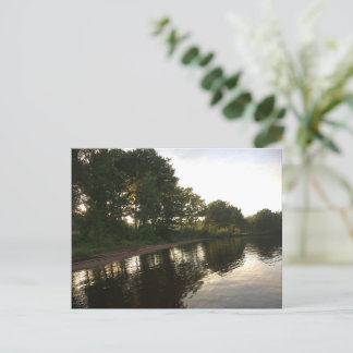Forest Summer Beach Feiertagspostkarte