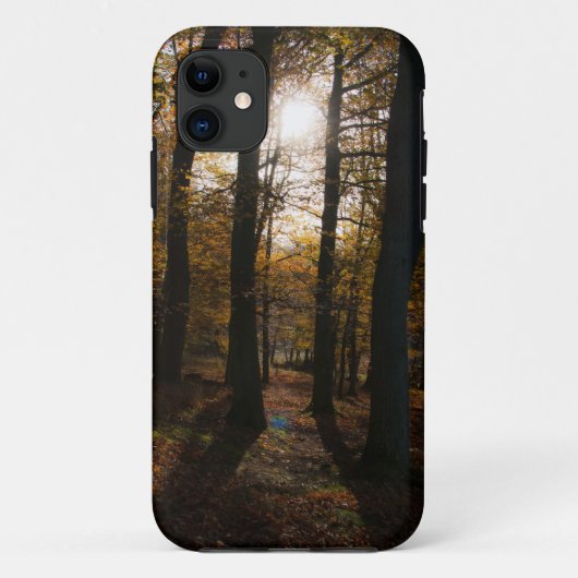 Forest sun iPhone 5 Fall Case-Mate iPhone Hülle (Rückseite)